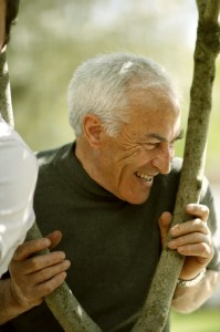 Il modello